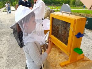 Medolandia v Dolnej Krupej otvorí včelársku sezónu programom pre celú rodinu