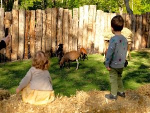 Archeoparku Cífer – Pác spúšťa sezónu, otvorí mini zoo, chystá aj ďalšie novinky