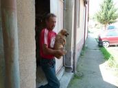 VIDEO: Na Družstevnej v Brestovanoch už psi ľuďom nervy nežerú