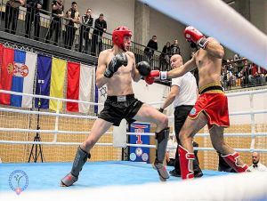 Bojové športy | TRNAVSKÝ HLAS - Trnava a okolie naživo