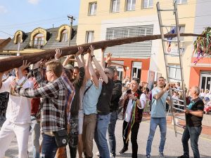Tradícia stavania májov pretrvala, vo štvrtok ich postavia v Trnave aj v regióne
