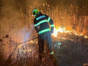 V areáli Trnavských rybníkov opäť horel suchý porast