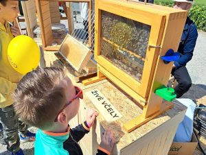 V Medolandii v Dolnej Krupej otvoria včelársku sezónu podujatím pre celú rodinu