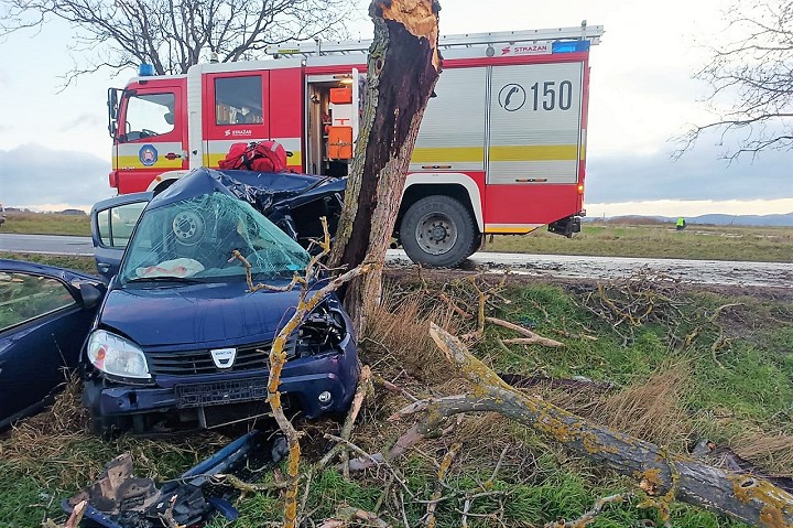 Tragická nehoda: Starší muž neprežil náraz vozidla do stromu