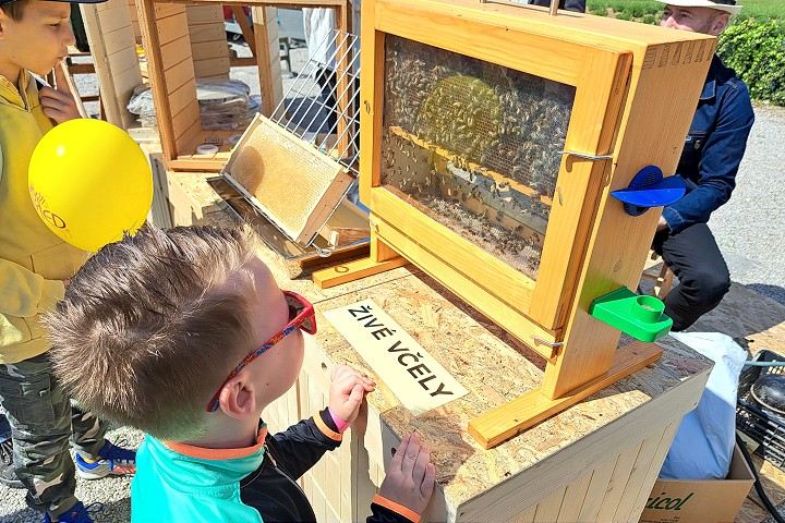 V Medolandii v Dolnej Krupej otvoria včelársku sezónu podujatím pre celú rodinu